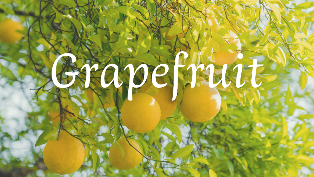 アロマ、香水、横浜、調香 精油ストーリー