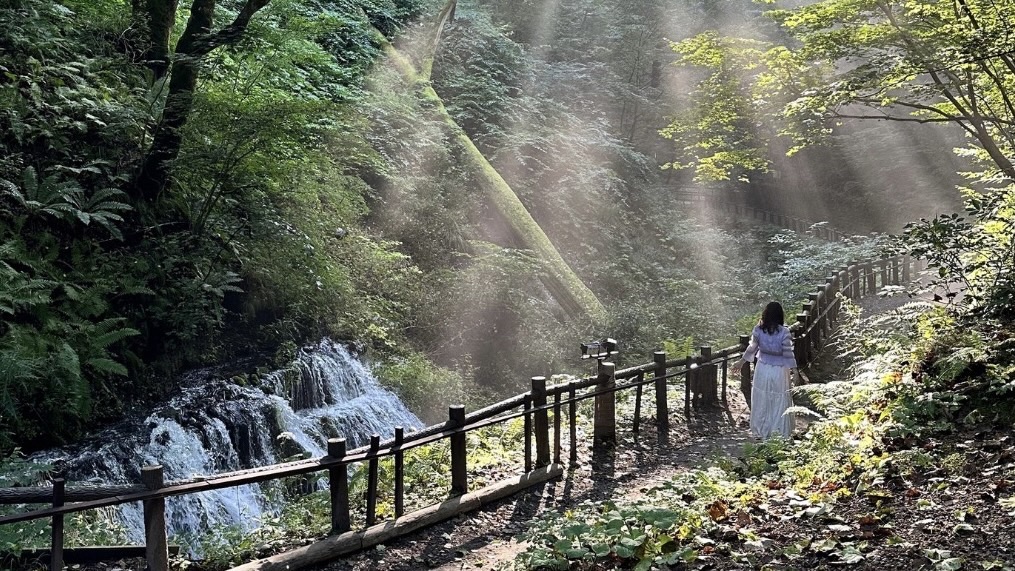 アロマ、調香、植物